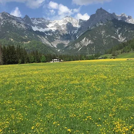 Bergwiesen Apartman *