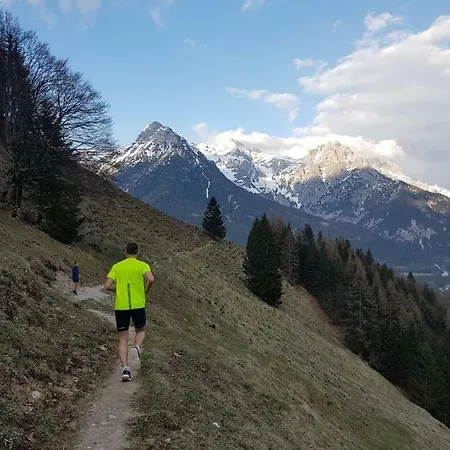 Bergwiesen *